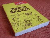 Cumpara ieftin Valentin Berbecaru - Provincia sufletelor