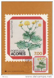 7842 - Portugalia-Acores 1981
