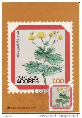 7842 - Portugalia-Acores 1981 foto