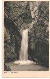 CPI (B2792) AUSTRIA, ALMBACHLAMM, , EDITURA VERLAG, NECIRCULATA