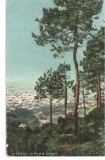 CPI (B2804) FRANTA. CANNES, LES PINS DE LA CALIFORNIE, AQUA PHOTO, NECIRCULATA