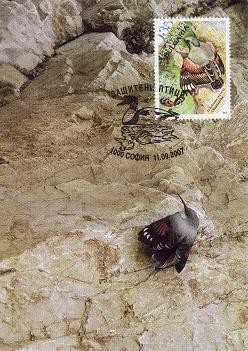 2752 - Bulgaria 2007