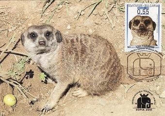 4186 - Bulgaria 2008