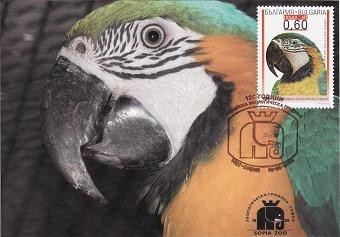 4187 - Bulgaria 2008 foto