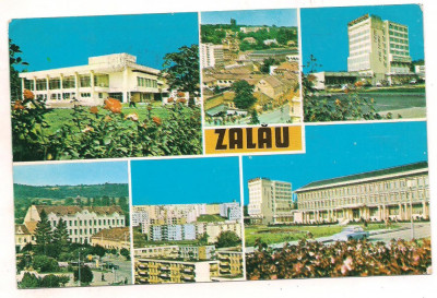 carte postala(ilustrata)- ZALAU-SALAJ- colaj foto