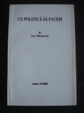 ION MIHALACHE - CE POLITICA SA FACEM {1995}