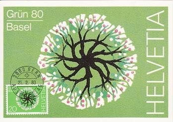 1100a - Elvetia carte maxima 1980 foto