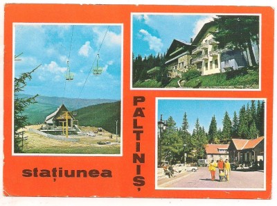 carte postala(marca fixa)- PALTINIS-colaj foto