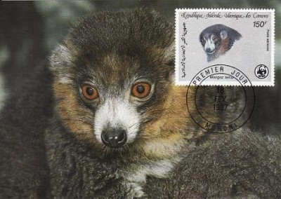 795 - Comore carte maxima 1987 foto