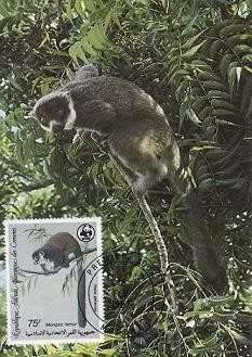 C3638 - Comore carte maxima 1987