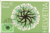 1100 - Elvetia carte maxima 1980