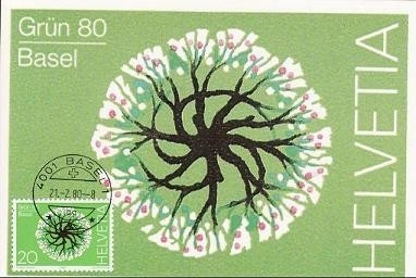 1100 - Elvetia carte maxima 1980