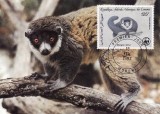 C3640 - Comore carte maxima 1987
