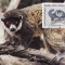 C3640 - Comore carte maxima 1987
