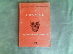 Craniul-anatomie functionala-Gheorghe Stancu,Marius Niculescu foto