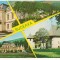 carte postala(marca fixa)- SUCEAVA-colaj