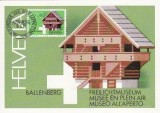 1121a - Elvetia carte maxima 1981