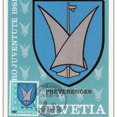 1142 - Elvetia carte maxima 1981