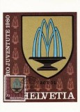 1119 - Elvetia carte maxima 1980
