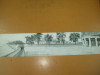 Carte postala panoramica Panoramic Postcard Chicago Jackson Park Lane 1909