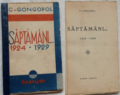 Gongopol , Saptamani ... 1924 - 1929 , Ramuri Craiova , 1929 , memorii politice foto