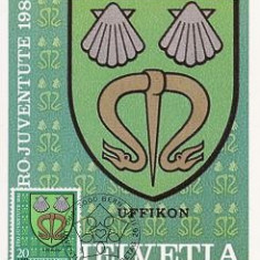 1139a - Elvetia carte maxima 1981