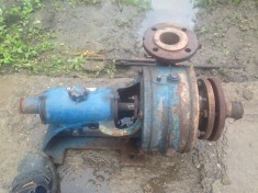 Pompa de apa centrifuga Cerna foto