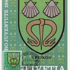 1139 - Elvetia carte maxima 1981