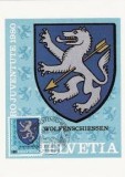 1120 - Elvetia carte maxima 1980