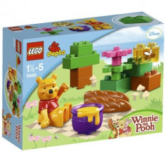 LEGO DUPLO WINNIE&amp;#039;S PICNIC (5945) + CADOU O PUNGUTA LEGO DUPLO CIRCUS (30066) !!!! foto