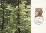 1245 - Elvetia carte maxima 1986