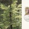 1245 - Elvetia carte maxima 1986