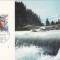 1244 - Elvetia carte maxima 1986