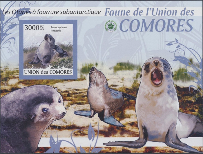 COMORE 2009 FAUNA ANTARCTICA,FOCI- MICHEL CAT. BL.528B