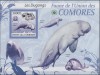 COMORE 2009 FAUNA MARINA - MICHEL CAT. BK 529B, Africa de sud, Natura