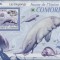 COMORE 2009 FAUNA MARINA - MICHEL CAT. BK 529B