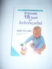 ANNE YELLAND - PRIMELE 18 LUNI ALE BEBELUSULUI foto