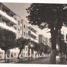 carte postala(ilustrata)-ORADEA - Str. Gen Magheru