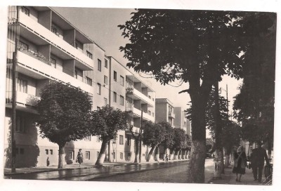 carte postala(ilustrata)-ORADEA - Str. Gen Magheru foto