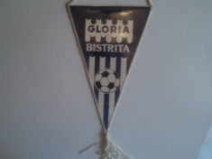 Fanion fotbal GLORIA BISTRITA foto