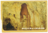 Carte postala(ilustrata)-Pestera Ursilor, Necirculata, Printata
