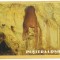 carte postala(ilustrata)-Pestera Ursilor