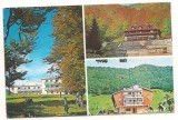 Carte postala(ilustrata)-Hunedoara-OLANESTI, Circulata, Printata