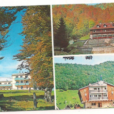 carte postala(ilustrata)-Hunedoara-OLANESTI