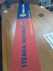 fular / esarfa Steaua Chelsea unicat ( material matase ) foto