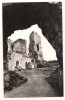 Carte postala(ilustrata)-TIRGU NEAMT-Ruinele cetatii Neamtului, Necirculata, Fotografie