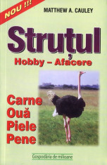 STRUTUL. HOBBY &amp;amp;amp;ndash; AFACERE de MATTHEW A. CAULEY foto