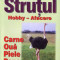 STRUTUL. HOBBY &amp;amp;ndash; AFACERE de MATTHEW A. CAULEY