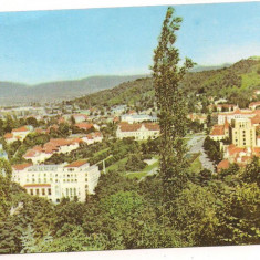 carte postala(ilustrata)-BRASOV-vedere panoramica