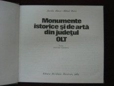 Aurelia Minca - Monumente istorice si de arta din judetul Olt - 50310 foto